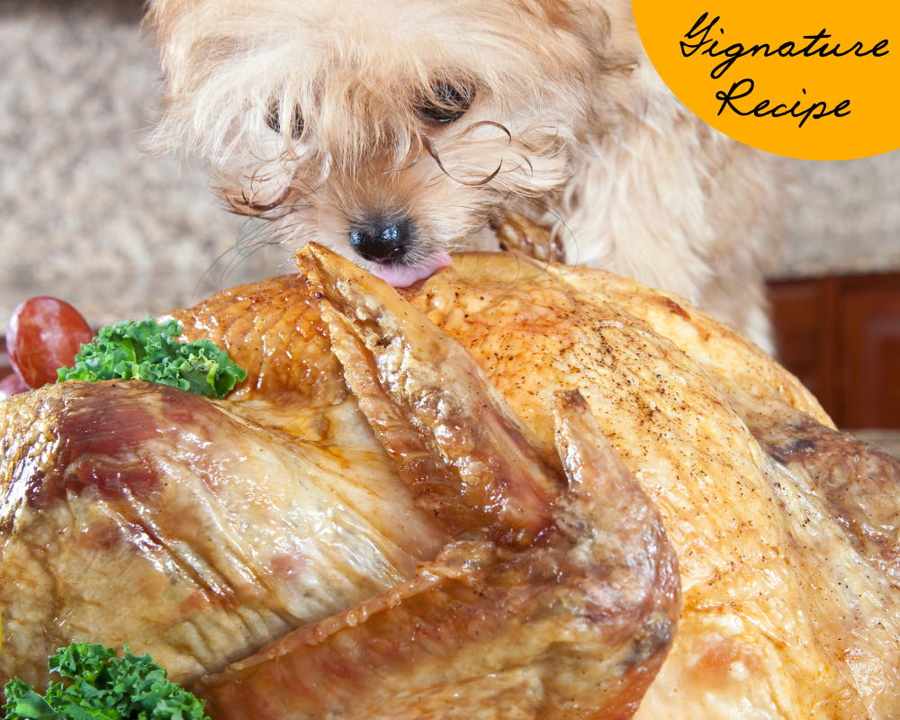 Homemade Celebration Meal