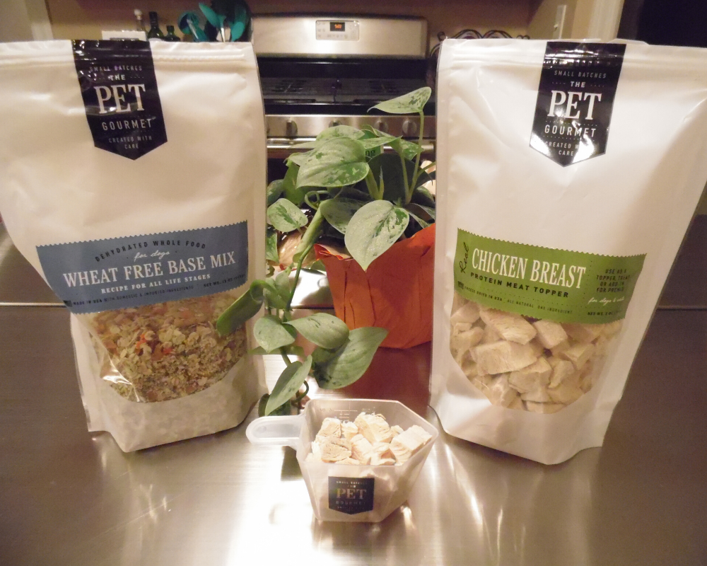 Customer Testimonial: Jessica and Luna