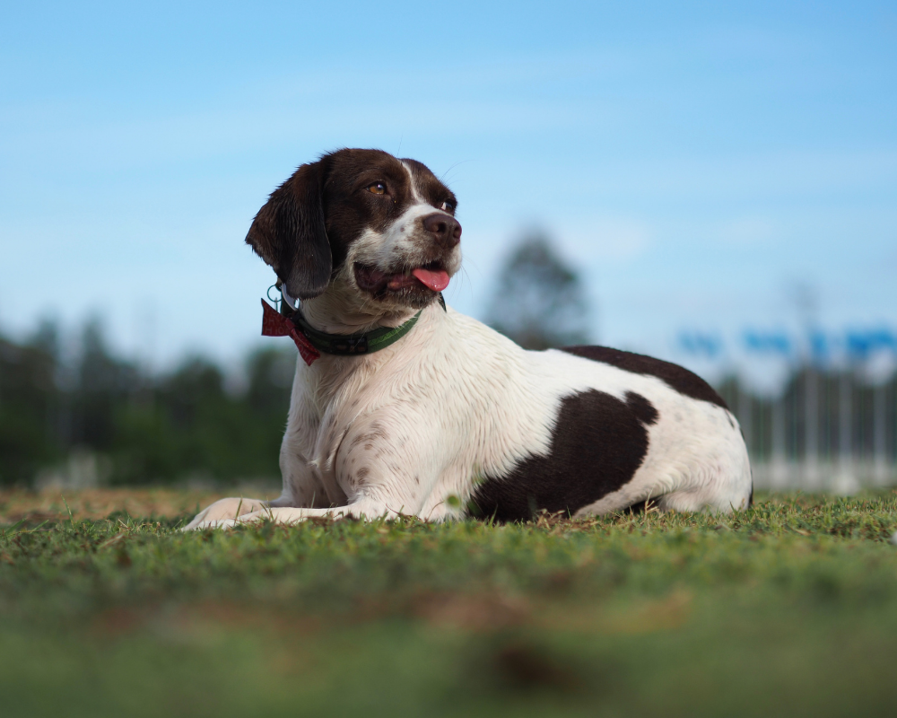 Avoid Heat Exhaustion