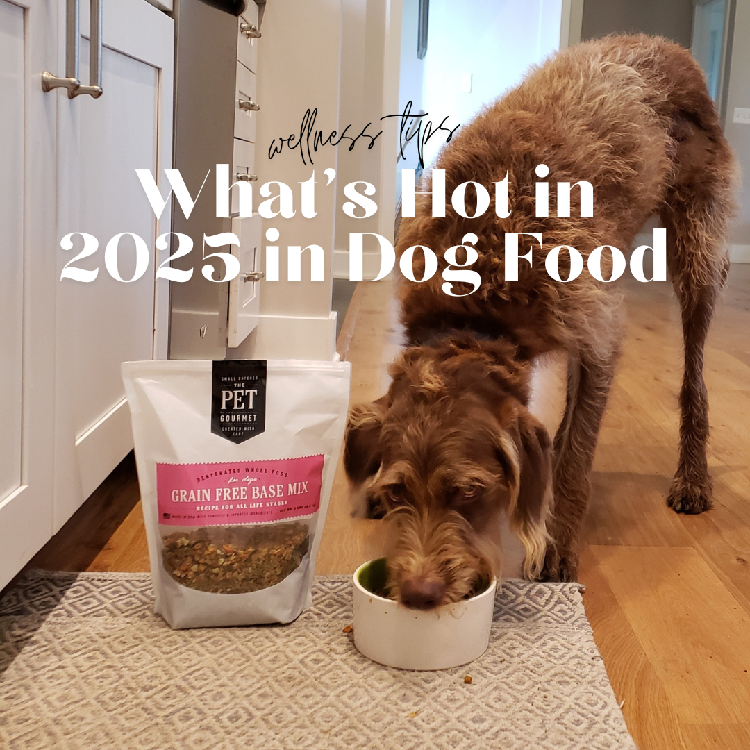 🐾 2025 Pet Food Trends: How to Give Your Dog the Best Nutrition This Year