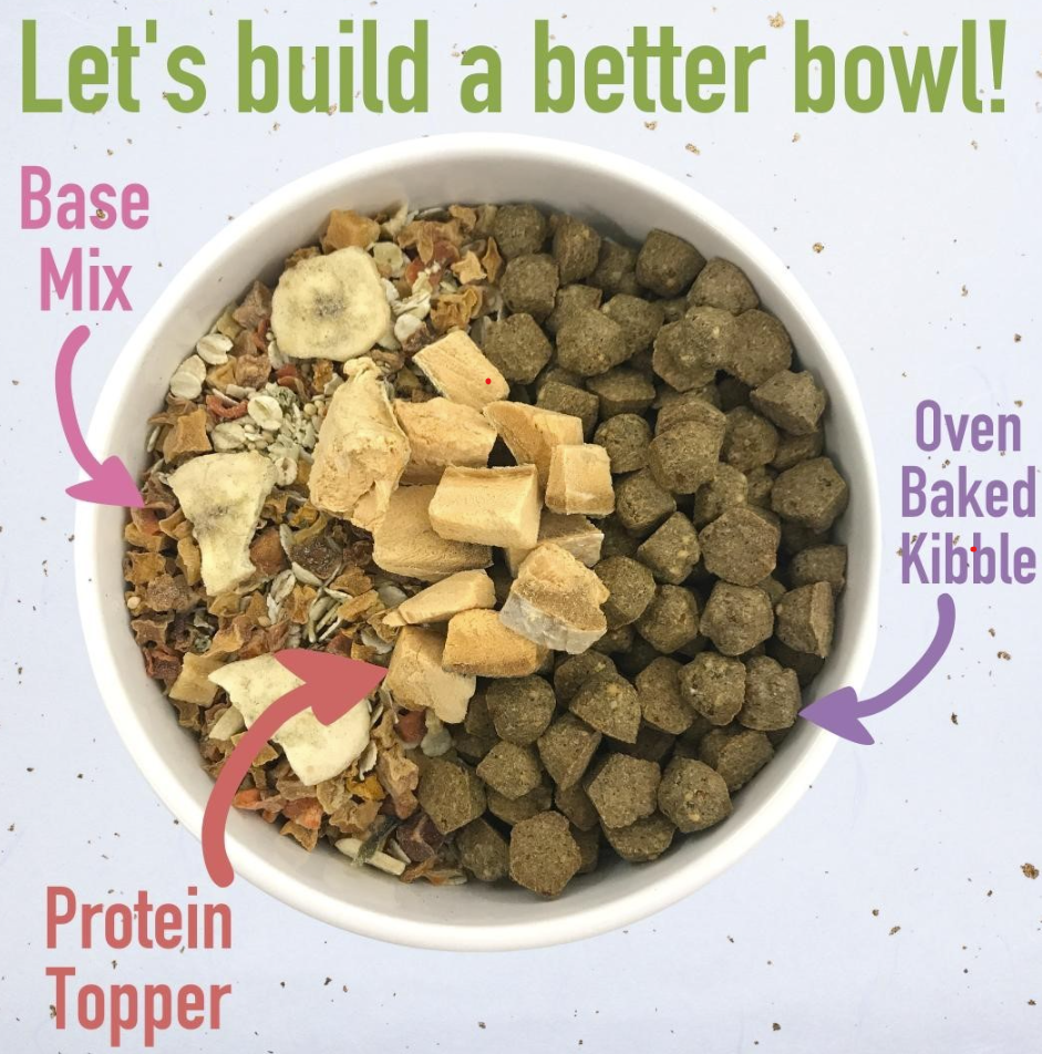 Enhance Your Dog's Regular Kibble
