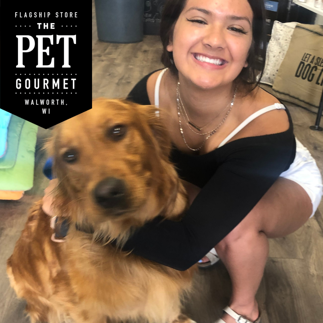 The Rise of Pet Parents: Why Spoiling Your Dog Is the New Normal