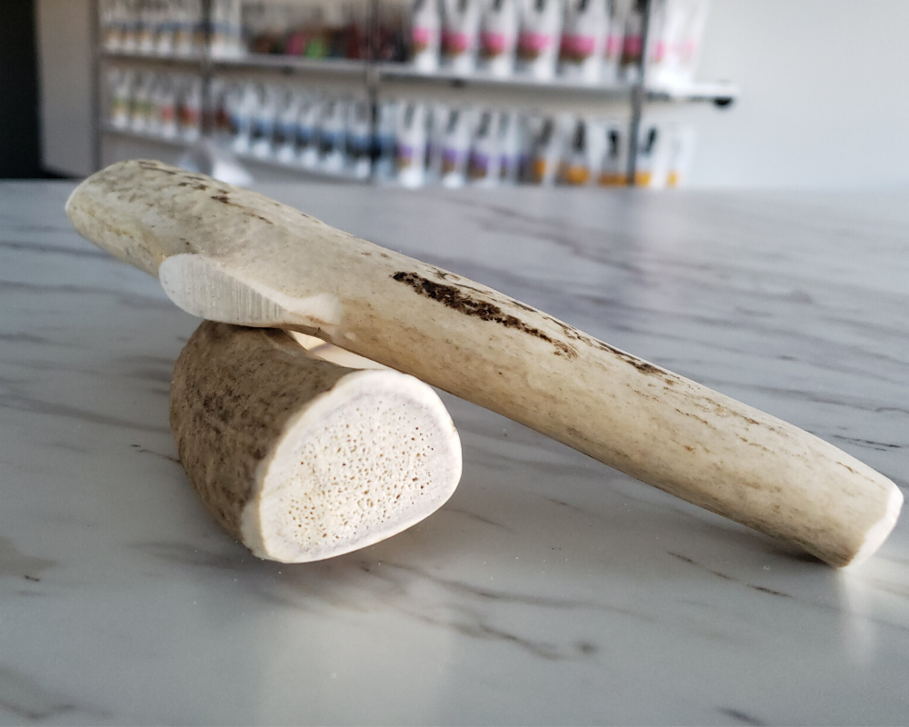 The Benefits of Elk Antlers for Dogs