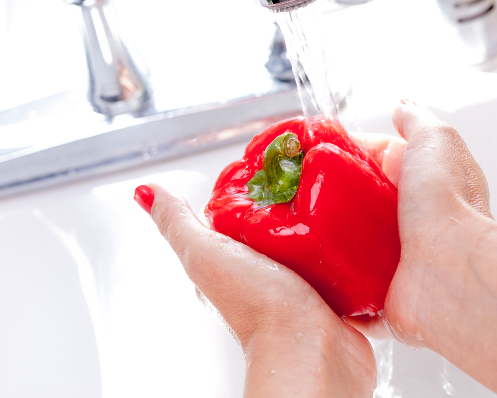 The Benefits of Bell Peppers for Dogs