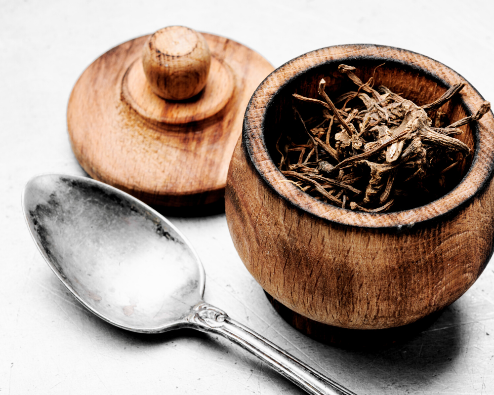 The Benefits of Valerian Root for Dogs