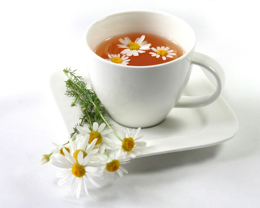 Chamomile and Its Benefits for Dogs