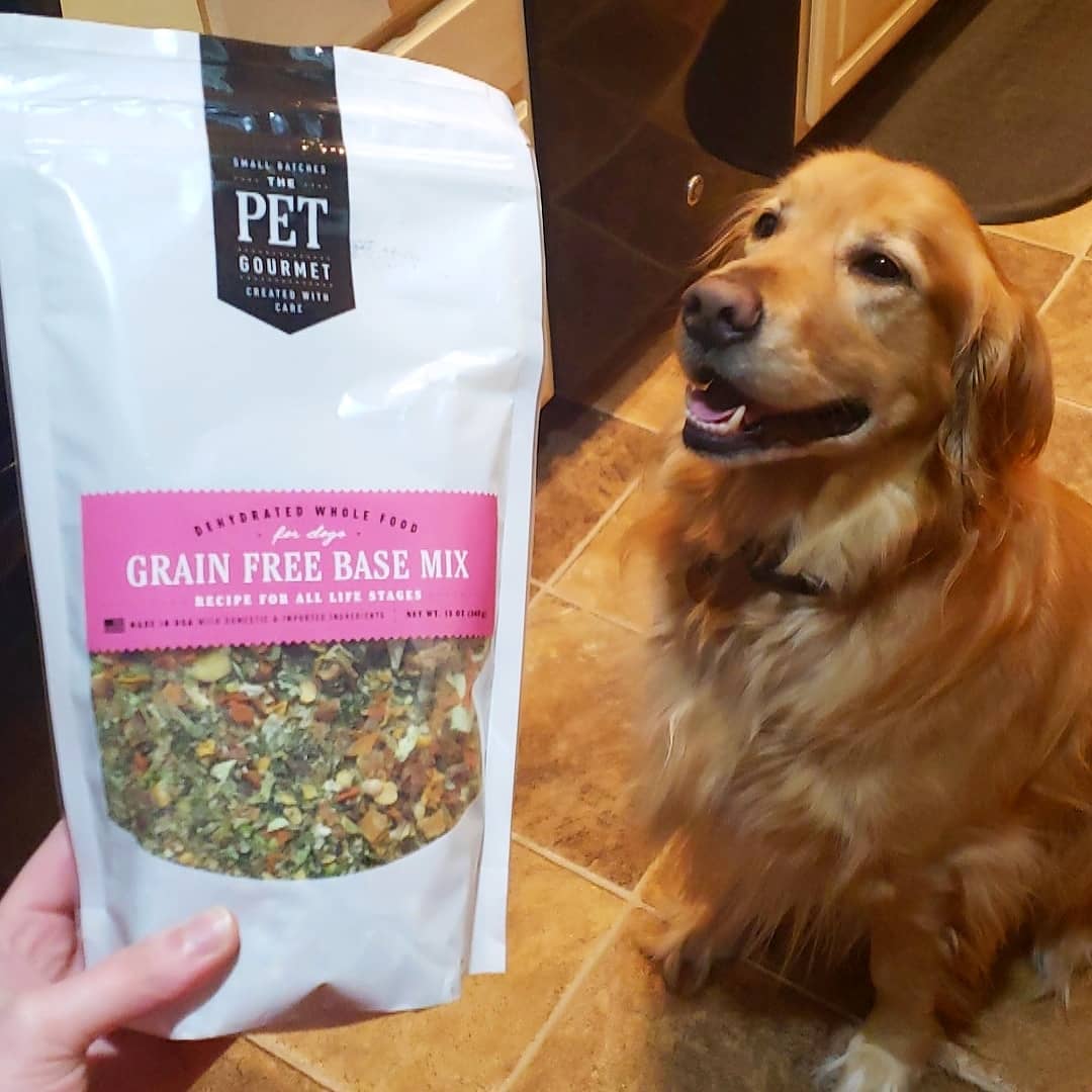 How to Enhance Your Dog’s Kibble: 6 Easy Ways to Upgrade Mealtime