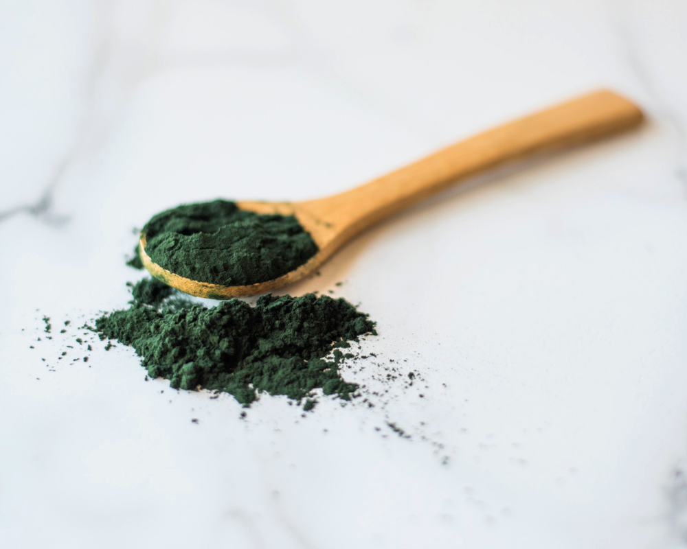 The Health Benefits of Spirulina for Dogs
