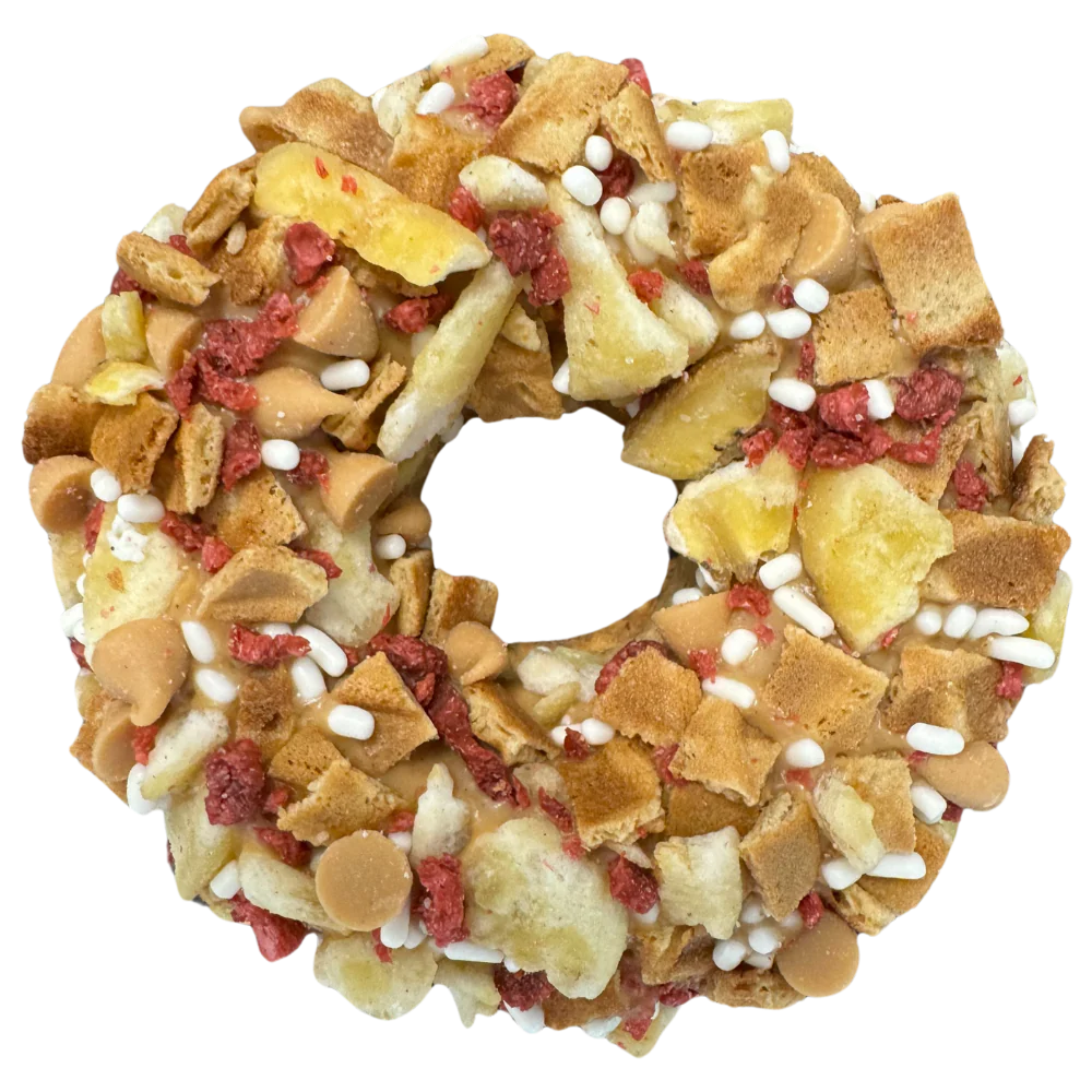 Doggie Donuts