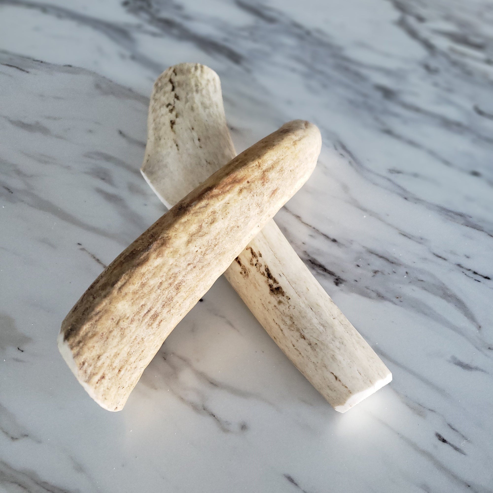 Small Whole Elk Antler Dog Chew