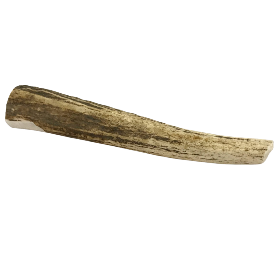 Elk Antler Whole Piece