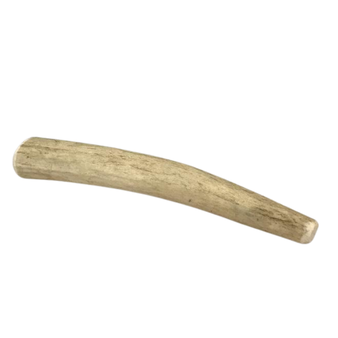 Small Whole Elk Antler Dog Chew